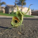 สมาชิกหมายเลข 3641875