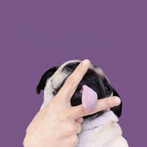 สมาชิกหมายเลข 4535997