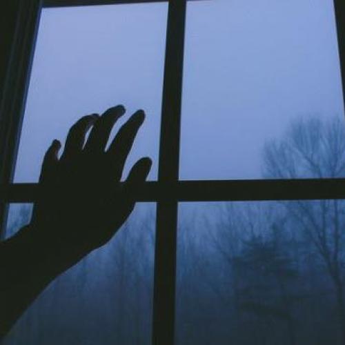 สมาชิกหมายเลข 4536032