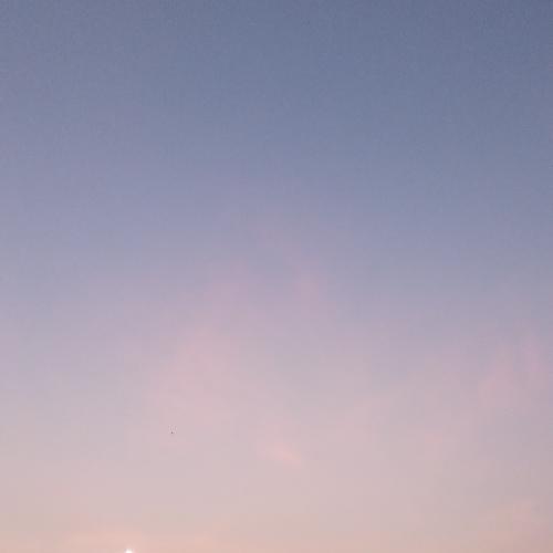 สมาชิกหมายเลข 4950374