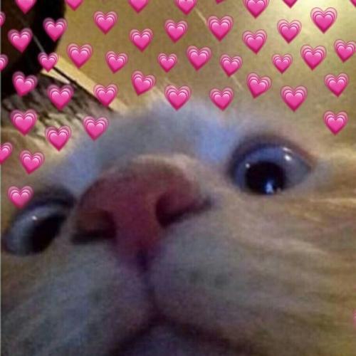 สมาชิกหมายเลข 5042458