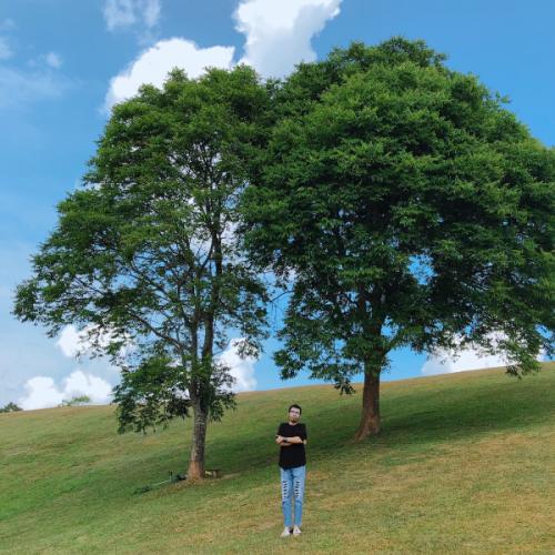 สมาชิกหมายเลข 1992262