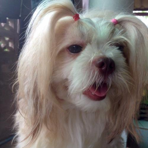 สมาชิกหมายเลข 4386718