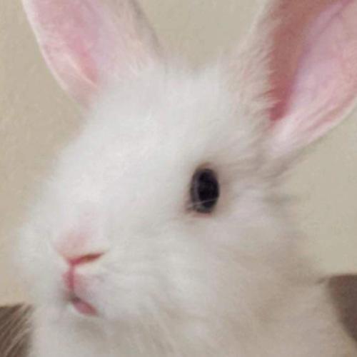 สมาชิกหมายเลข 6961053