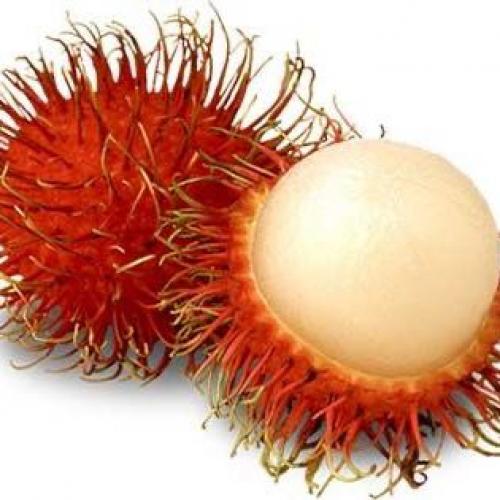 สมาชิกหมายเลข 4416462