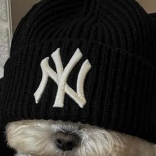 สมาชิกหมายเลข 7330302