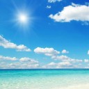 สมาชิกหมายเลข 3642493