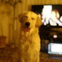 สมาชิกหมายเลข 1560644