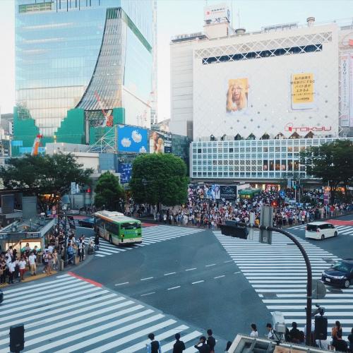 สมาชิกหมายเลข 2288650