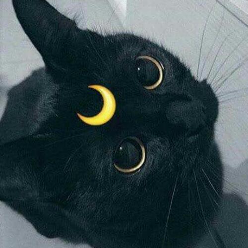 สมาชิกหมายเลข 4875705