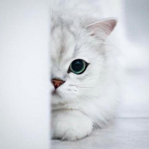 สมาชิกหมายเลข 5268076