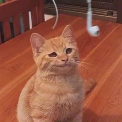 สมาชิกหมายเลข 3153526