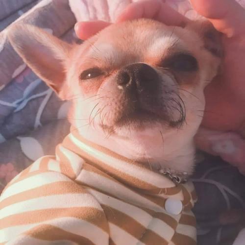 สมาชิกหมายเลข 4082284