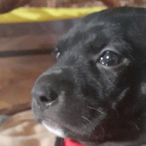 สมาชิกหมายเลข 4696637