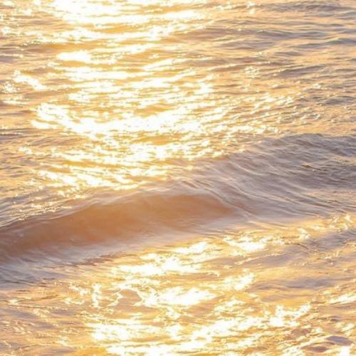 สมาชิกหมายเลข 6175497