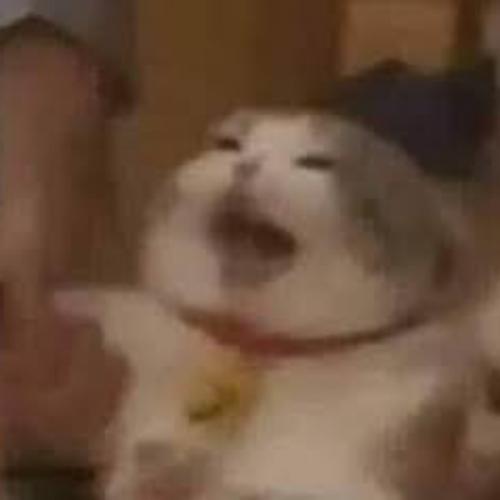 สมาชิกหมายเลข 6615514