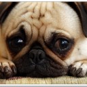 สมาชิกหมายเลข 3465525