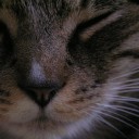 สมาชิกหมายเลข 3633207