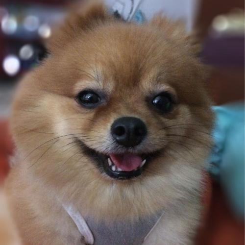 สมาชิกหมายเลข 3640472