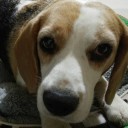 สมาชิกหมายเลข 4105677