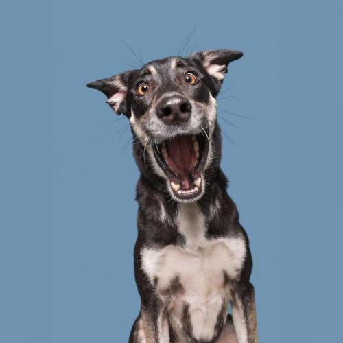 สมาชิกหมายเลข 4536479