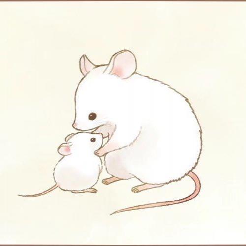 สมาชิกหมายเลข 4536673