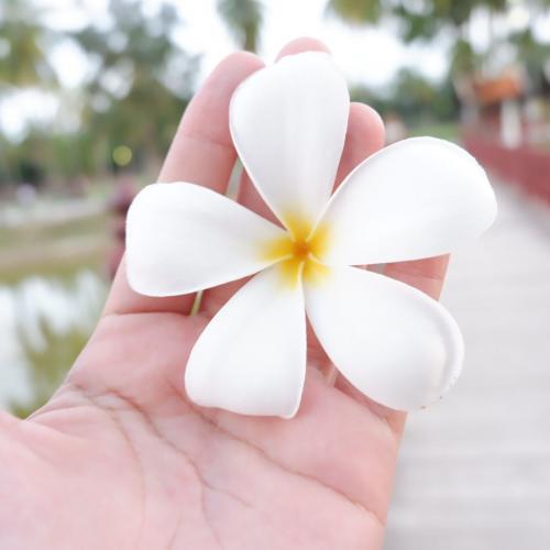 สมาชิกหมายเลข 4622697