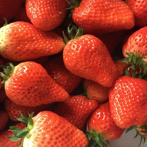 สมาชิกหมายเลข 5171387