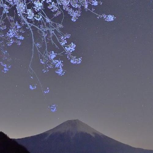 สมาชิกหมายเลข 5268368