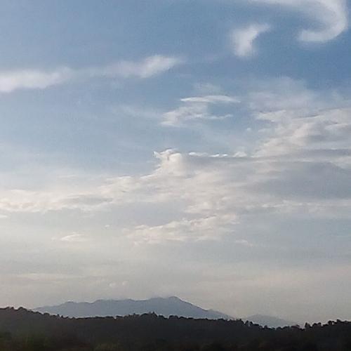 สมาชิกหมายเลข 4869287