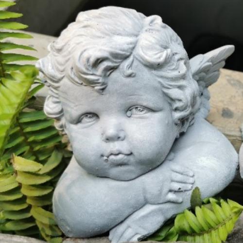 สมาชิกหมายเลข 5705435