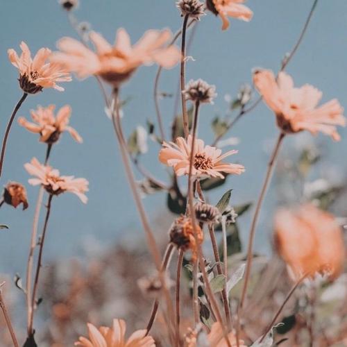 สมาชิกหมายเลข 6286915