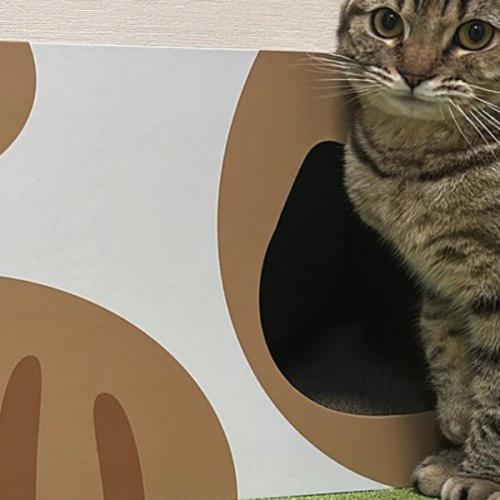 สมาชิกหมายเลข 6962979