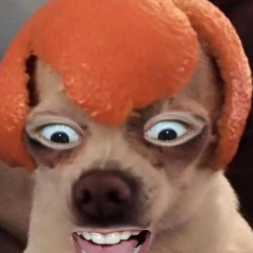 สมาชิกหมายเลข 6963028