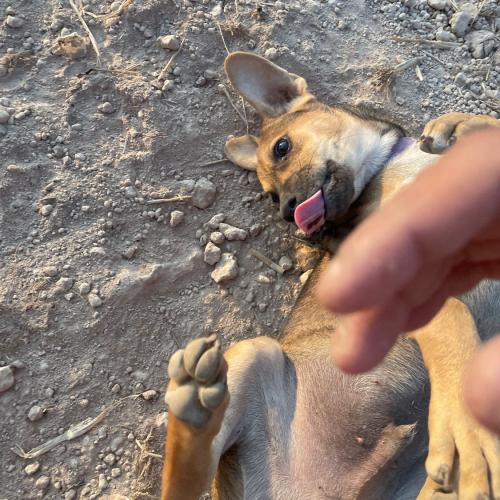 สมาชิกหมายเลข 3077375