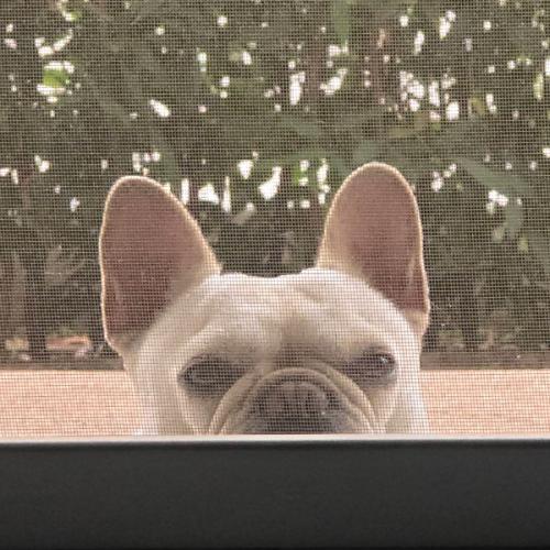 สมาชิกหมายเลข 7674536