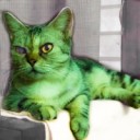 สมาชิกหมายเลข 2393737