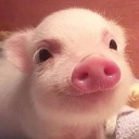 สมาชิกหมายเลข 3643556