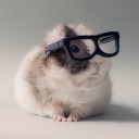 สมาชิกหมายเลข 4105829