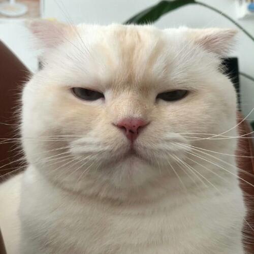 สมาชิกหมายเลข 4401377