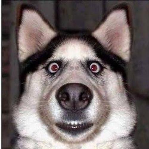 สมาชิกหมายเลข 4876383