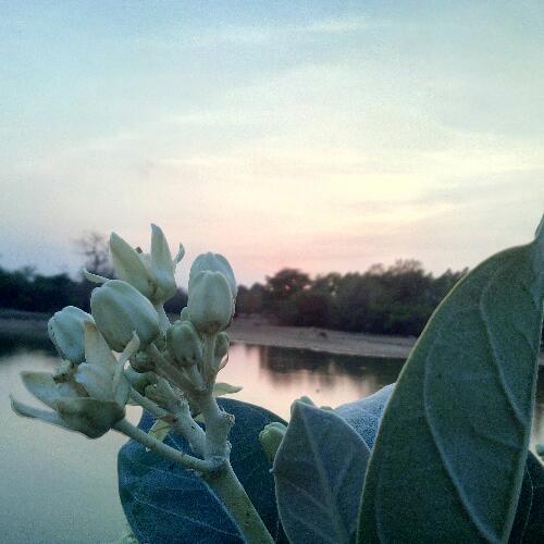 สมาชิกหมายเลข 5268647