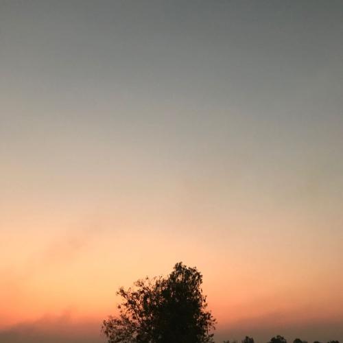 สมาชิกหมายเลข 5020930