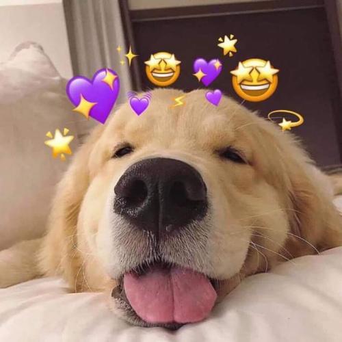 สมาชิกหมายเลข 6288718