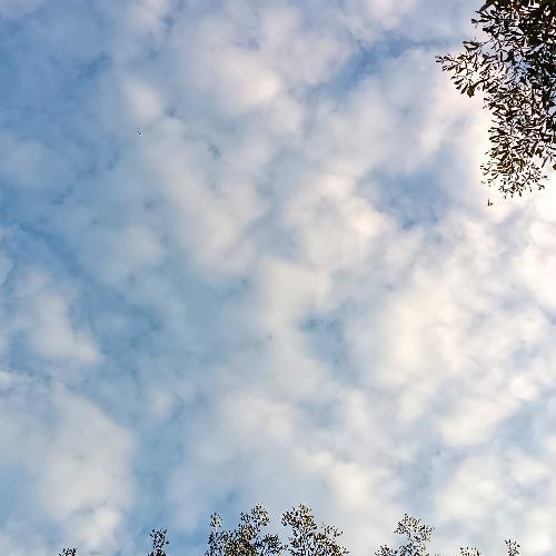 สมาชิกหมายเลข 6963704