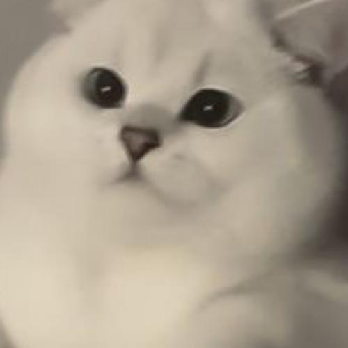 สมาชิกหมายเลข 7725684