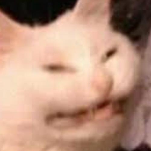 สมาชิกหมายเลข 1126499