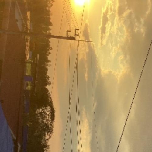 สมาชิกหมายเลข 8416101