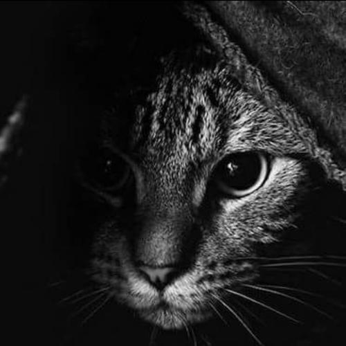 สมาชิกหมายเลข 4788466