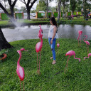 สมาชิกหมายเลข 2808728